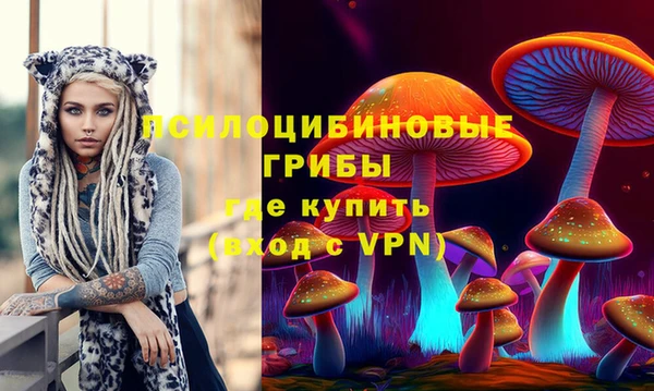 прущая мука Михайлов