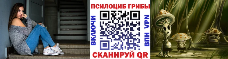 Псилоцибиновые грибы Psilocybe ОМГ ОМГ Чулым даркнет сайт